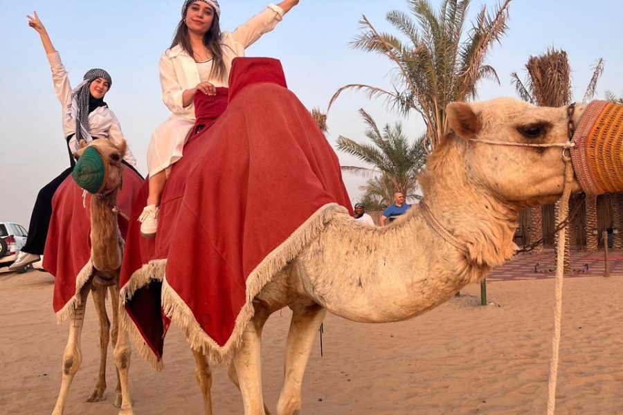 ATV’siz Standart Kamp Çöl Safari Turu