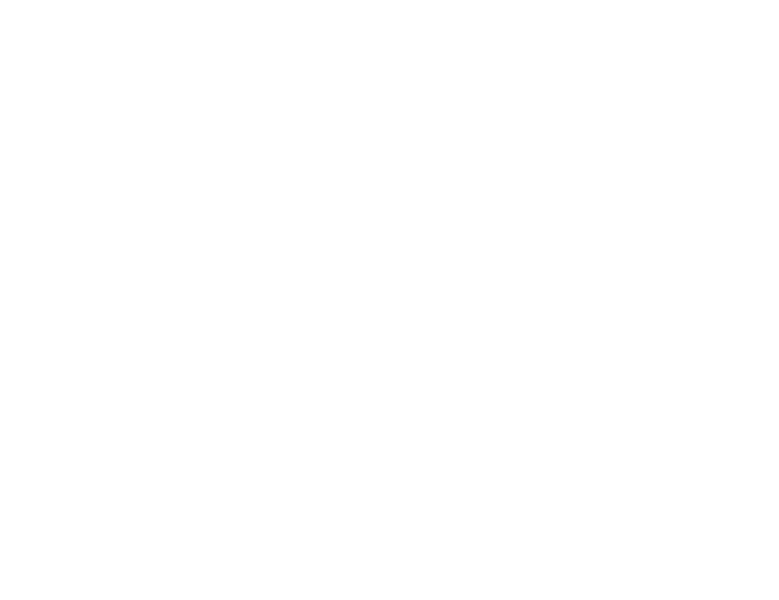Nes Dubai Travel